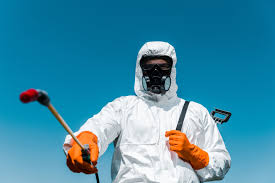 Best Indoor Pest Control  in Whetstone, AZ